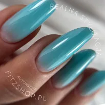Excellent PRO Builder Color With Thixotropy Lagoon 15g - 2