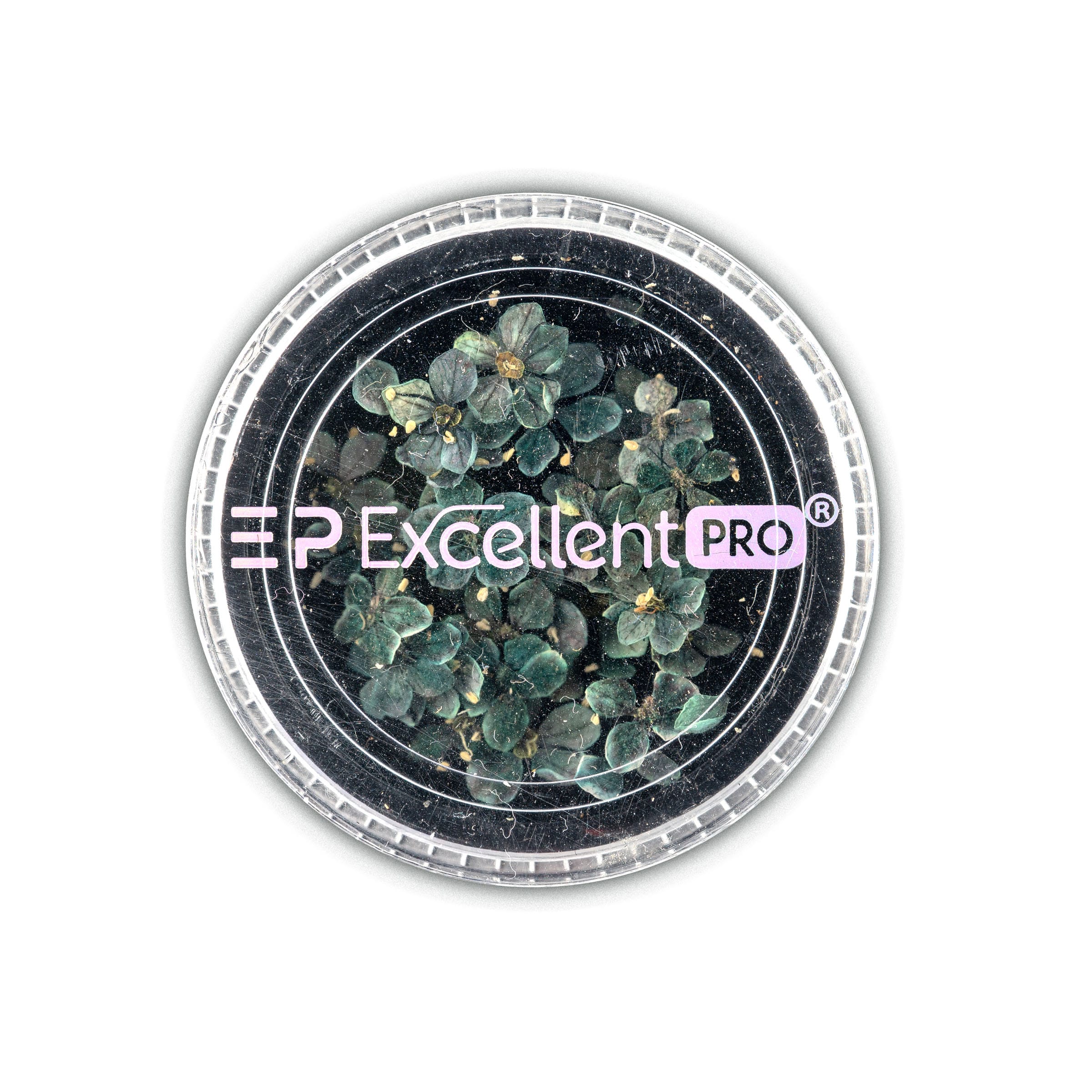 Excellent PRO Deco Dry Flowers 50pcs 002